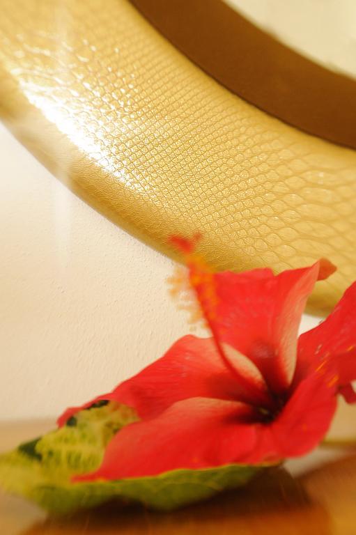 Etoile Labrine Guest House La Digue Room photo